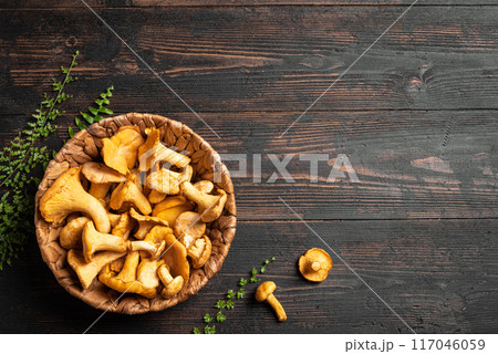 Chanterelle forest mushrooms Chanterelle forest mushrooms 117046059