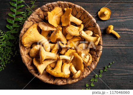 Chanterelle forest mushrooms Chanterelle forest mushrooms 117046060