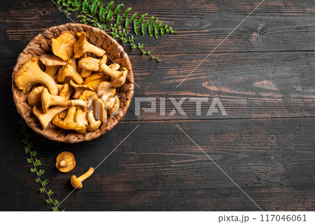 Chanterelle forest mushrooms Chanterelle forest mushrooms 117046061