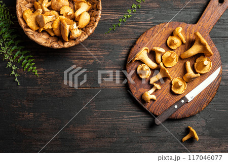 Chanterelle forest mushrooms Chanterelle forest mushrooms 117046077