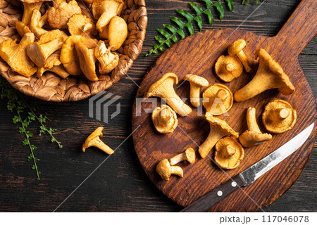 Chanterelle forest mushrooms Chanterelle forest mushrooms 117046078