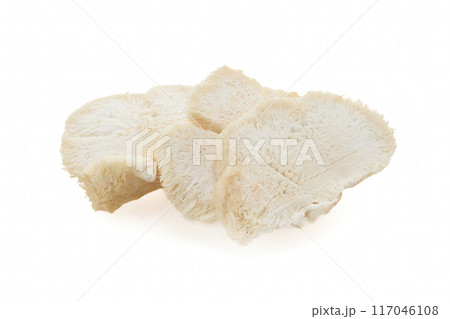 Lion's Mane Mushroom against a white background. 117046108