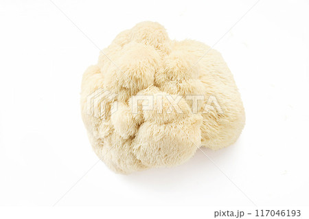 Lion's Mane Mushroom on white background 117046193