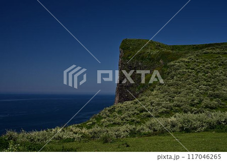 摩天崖からの景色 117046265