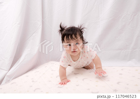 【はいはいを始める髪を結んだ赤ちゃん】 117046523