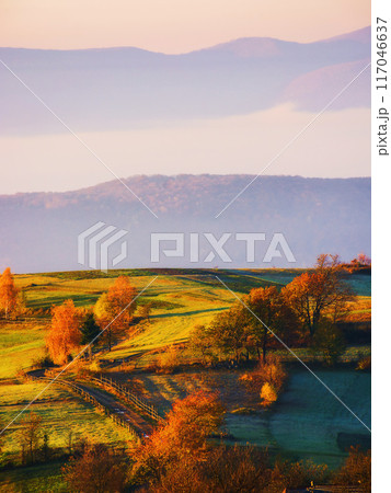 carpathian mountain landscape of ukraine in autumn. trees on the grassy hills in fall colors. countryside scenery in morning light. wooden fence along the path through field carpathian mountain landscape of ukraine in autumn. trees on the grassy hills in fall colors. countryside scenery in morning light. wooden fence along the path through field 117046637