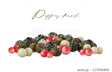 Peppercorn mix seed pile painted illustration. Peppers spice blend heap element on white background. Allspice, black pepper dry whole seeds natural aromatic spice for cooking and seasoning 117046869