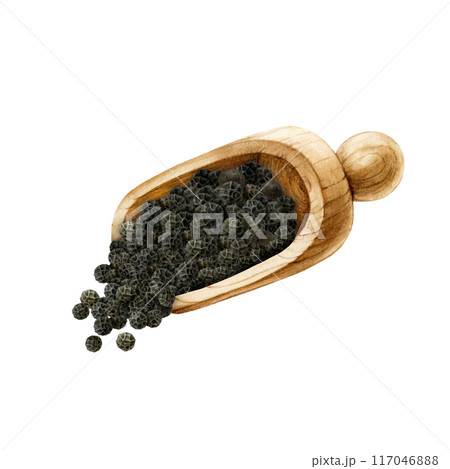 Black peppercorn pile in wooden spoon painted illustration. Vintage style image. Hand drawn black pepper spice for cooking and seasoning ingredient isolated on white background Black peppercorn pile in wooden spoon painted illustration. Vintage style image. Hand drawn black pepper spice for cooking and seasoning ingredient isolated on white background 117046888