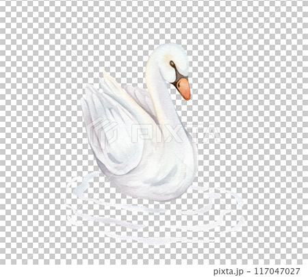 Watercolor hand painted illustration cute swans and water waves. Isolated on white background. White pastel colors bird. Wedding symbol of fidelity in the family 117047027