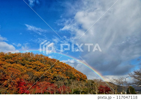 紅葉の山にかかる虹 117047118