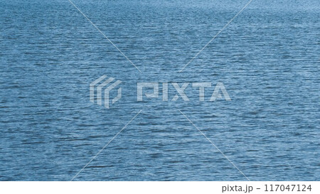 福岡市東区の青い海 福岡市東区の青い海 117047124
