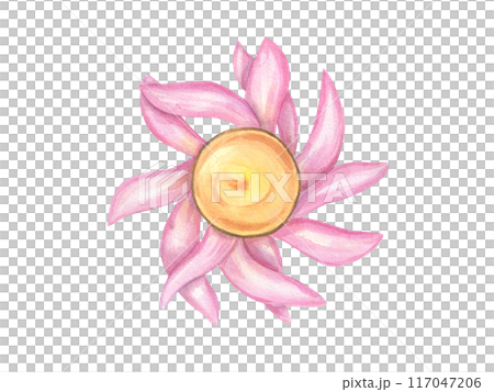 Diya candle in shape of lotus flower. Water lily. Pink petals with vivid yellow center. Diwali burning lamp. Top view of religious symbol. Indian holiday. Watercolor illustration isolated on white 117047206