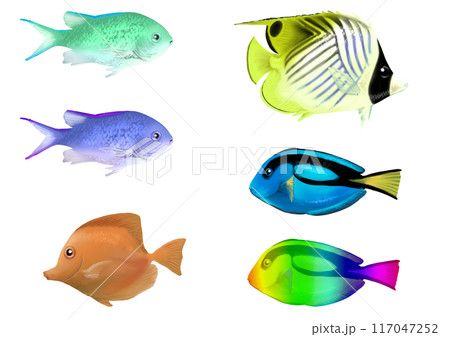 魚のイラストセット 魚のイラストセット 117047252