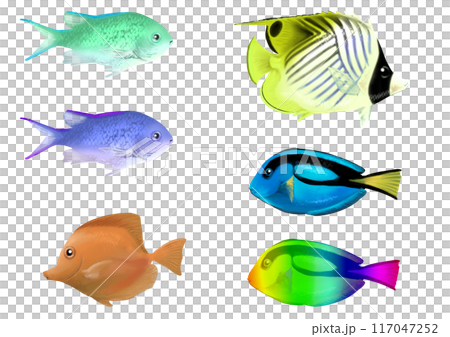 魚のイラストセット 魚のイラストセット 117047252