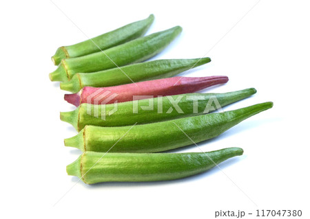 オクラ（丸オクラ） 117047380