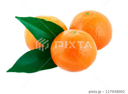 Three mandarin with green leaves isolated on white background 117048002