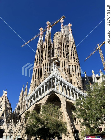 サグラダファミリア スペイン バルセロナ 2023 夏 世界遺産 サグラダファミリア スペイン バルセロナ 2023 夏 世界遺産 117048119