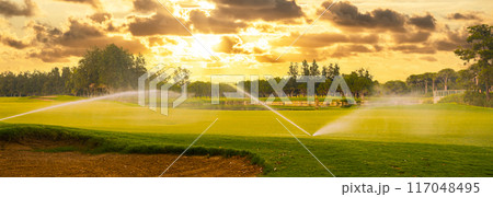 Golf course in maintenance. Watering golf course with sprinklers. Golf course at sunset. 117048495