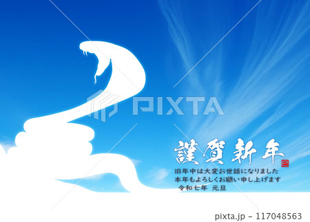 2025年度年賀状素材 117048563