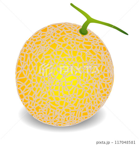Yellow ripe melon fruit isolated on white background. 117048581