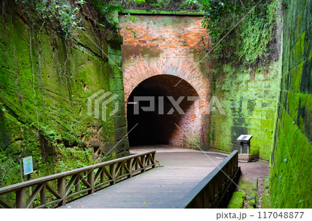 神奈川県横須賀市 猿島 神奈川県横須賀市 猿島 117048877