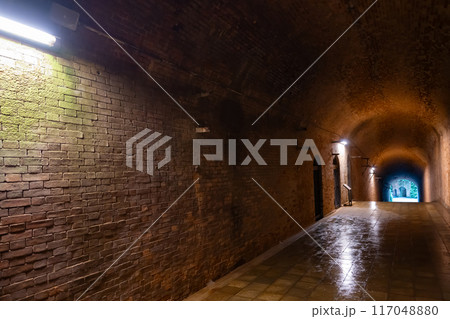 神奈川県横須賀市　猿島 117048880