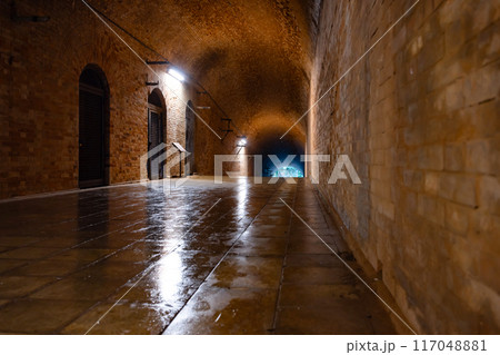 神奈川県横須賀市　猿島 117048881