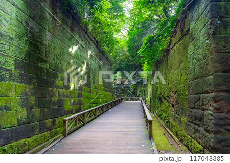 神奈川県横須賀市　猿島 117048885