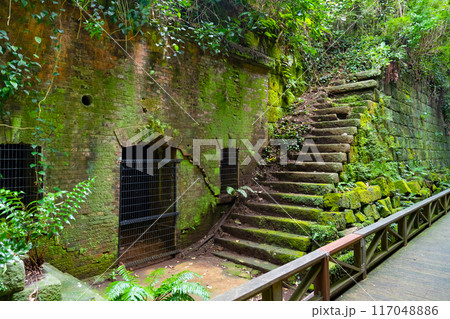 神奈川県横須賀市 猿島 神奈川県横須賀市 猿島 117048886