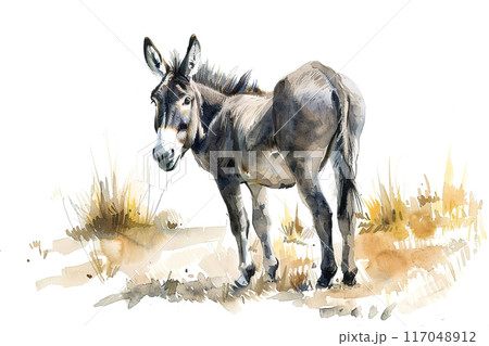 Watercolor painting of a gray donkey standing in a field. Farm animals. 117048912