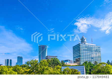日本の東京都市景観 渋谷駅前の渋谷ヒカリエや渋谷スクランブルスクエア、タワマン、NHKなどを望む 日本の東京都市景観 渋谷駅前の渋谷ヒカリエや渋谷スクランブルスクエア、タワマン、NHKなどを望む 117049481