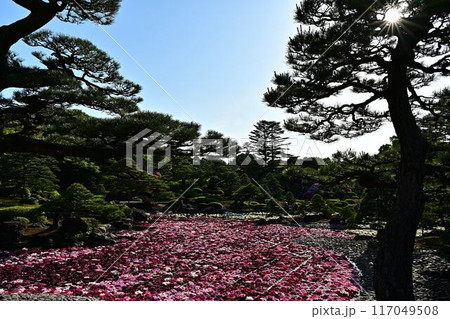 由志園の牡丹 由志園の牡丹 117049508