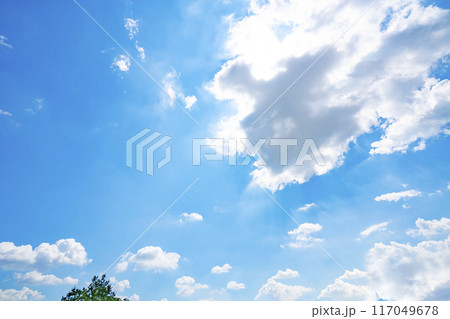 夏の雲と木立 夏の雲と木立 117049678