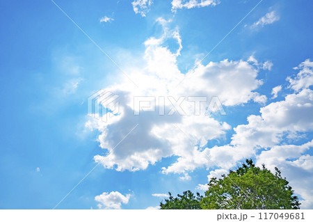 夏の雲と木立 夏の雲と木立 117049681