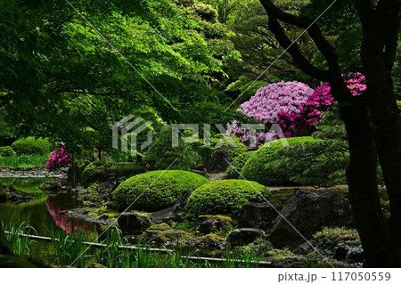 由志園のツツジ 117050559