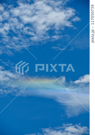 青い夏空と環水平アーク 青い夏空と環水平アーク 117050739