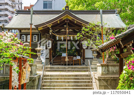 大阪市天王寺区東高津町 東高津宮(仁徳天皇の皇居) 拝殿 大阪市天王寺区東高津町 東高津宮(仁徳天皇の皇居) 拝殿 117050841