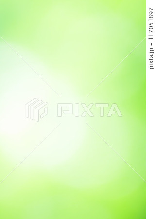 The green leaves are softly blurred. selective focus, Abstract green blurred soft nature background. The green leaves are softly blurred. selective focus, Abstract green blurred soft nature background. 117051897