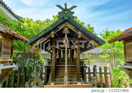 大阪市中央区高津　高津宮（高津神社）　摂社　比売古曽神社 117051968