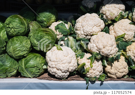harvest of fresh cauliflower and cabbage on the shelf at vegetable farmers bazaar harvest of fresh cauliflower and cabbage on the shelf at vegetable farmers bazaar 117052574