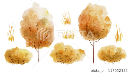 Autumn trees watercolor illustration. Drawing for clipart with orange shrubs and yellow grass on isolated background. Forest plants for greeting cards or invitations. Elements for harvest design. 117052583