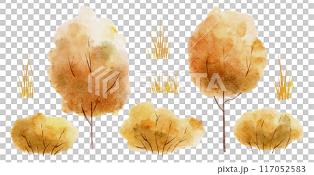 Autumn trees watercolor illustration. Drawing for clipart with orange shrubs and yellow grass on isolated background. Forest plants for greeting cards or invitations. Elements for harvest design. 117052583