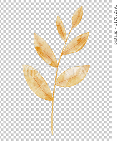 Autumn branch with yellow and orange leaves on isolated background. Drawing of fall plant for harvest festival invitations or seasonal greeting cards. Botanical element for rustic design. 117052591