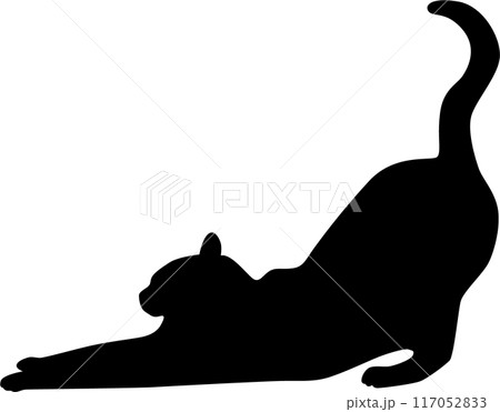 猫背伸ポーズ 猫背伸ポーズ 117052833