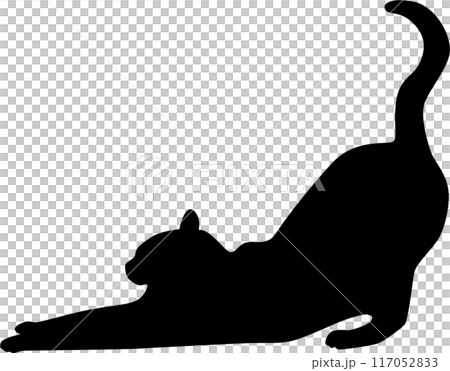 猫背伸ポーズ 猫背伸ポーズ 117052833