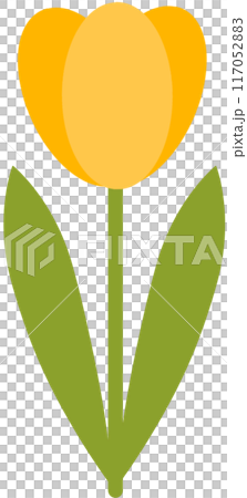 Flower Flower 117052883