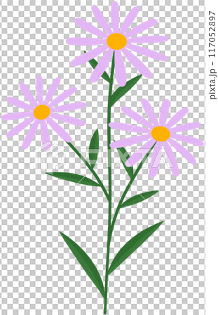 Flower Flower 117052897