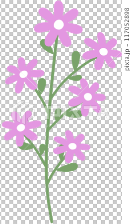Flower 117052898