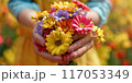 A woman is holding a bouquet of flowers in her hands 117053349