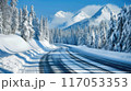 A snowy mountain range is in the background of a road 117053353
